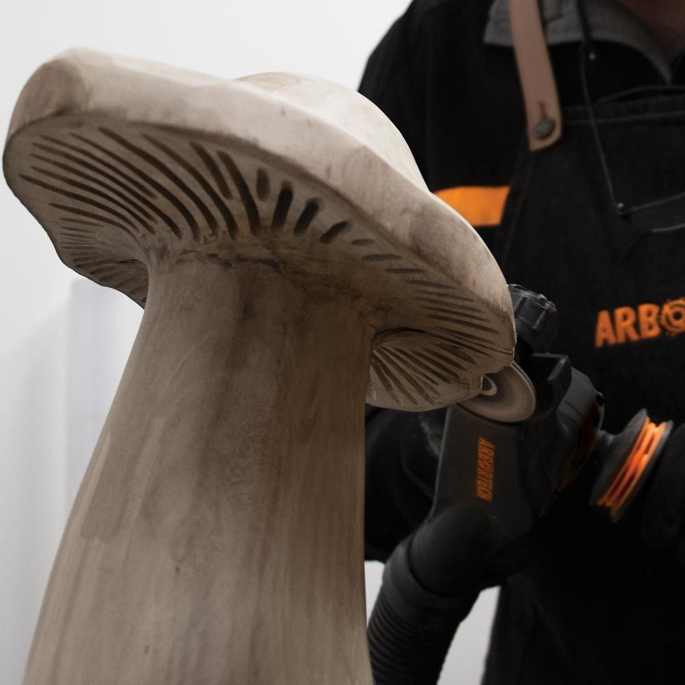 Arbortech Mini Carver Power Tool MKII - The ToolBox Scotland